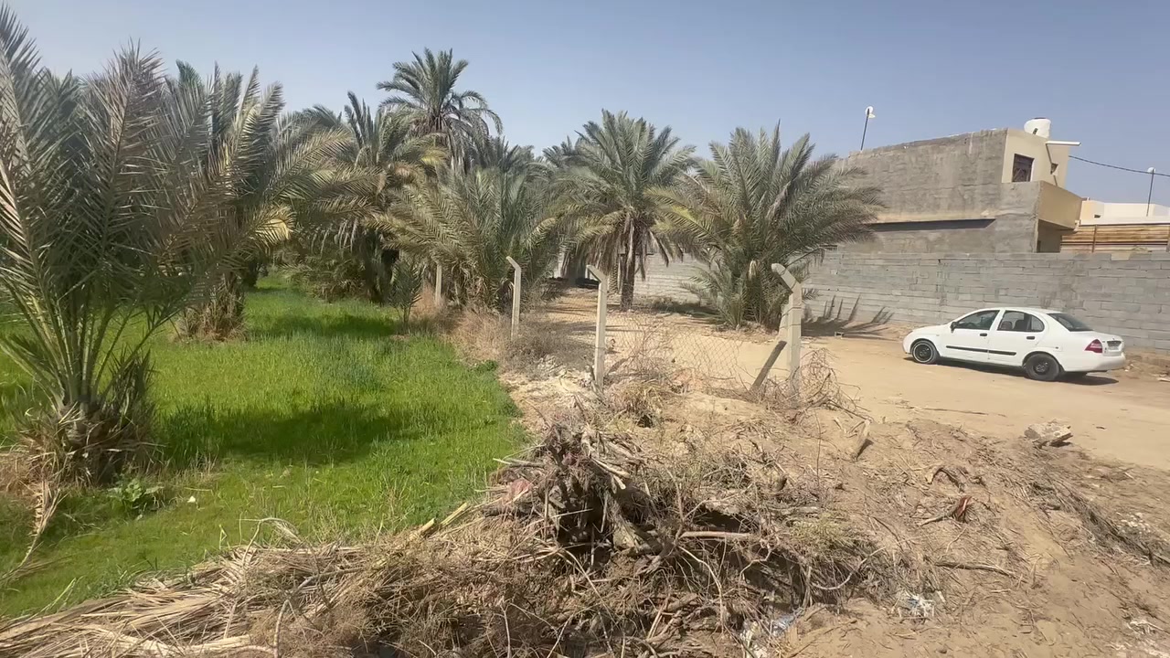 ألف ومائة متر طابو سند 25
خلف جامعة وارث الأنبياء 
كربلاء شارع بغداد سايد الدخول عامود 128
للاستفسار ***********
***********
