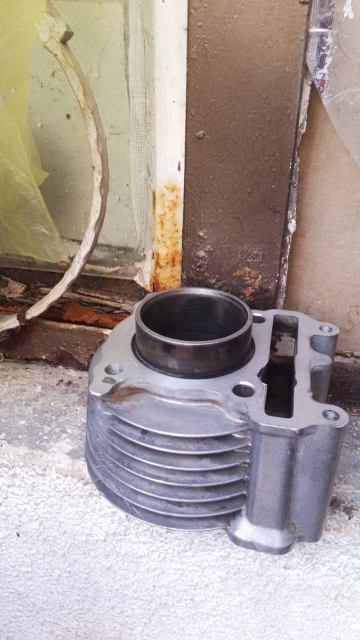 تويتر مال سكنس فحل وبوشه بلاديه مال سكنس فحل للبيع *********** مكان بغداد المدينهي
