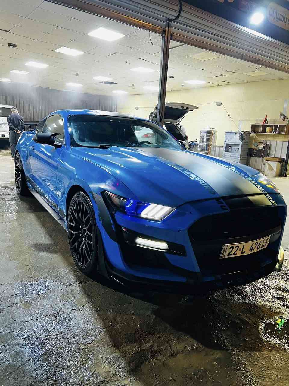 سلام عليكم
فورد موستنك اللون مميز سمائي 
مديل ٢٠١٧ 
V6
حادثه امريكه جاملغ او بنيد بدون دواخل جه السكن
حادث بالعراق دور جاملغ خلفي جنه سكن
مواصفات عاديه 
 عليه كزوز طرب  
ماشيه ١٦٥ الف
رقم اربيل + سياره بسم اخويه 
سياره مبرمجه فتح سرعه وفصلات بك فاير   
مكان سياره بابل 
السعر ١٦٠ $  بيه مجال
تواصل واتساب فقط  
***********
