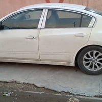 التيما ٢٠٠٨ • ابيض صدفي • رقم بغداد