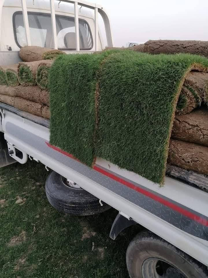 اللهم صلي على محمد وال بيت محمد
توفر ثيل هندي درجه اولى سعر المتر المربع ٣ الاف 
مشتل نعناعه الرفاعي الصوب الاول مجاور جسر المشاة بتجاه السايلو مقابل مدرسة الرقيم الاهليه ***********
