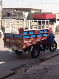 ستوته • ٢٠٢٥ • كله شرط