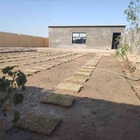 مزرعه ٤٠٠م • دغاره ديوانية • سند ٢٥