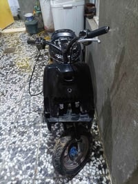 بطة • معدل • مجفته