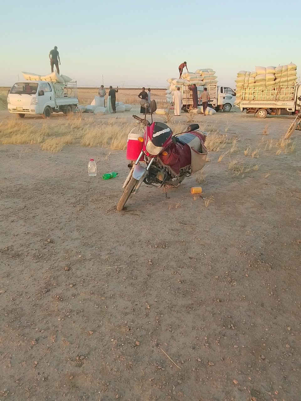 يوجد تبن للبيع مال سنه شرط نضافه شل ابو 90 سعر 3الف مطروح وزن@ المكان سكران الغربي رقم ***********
