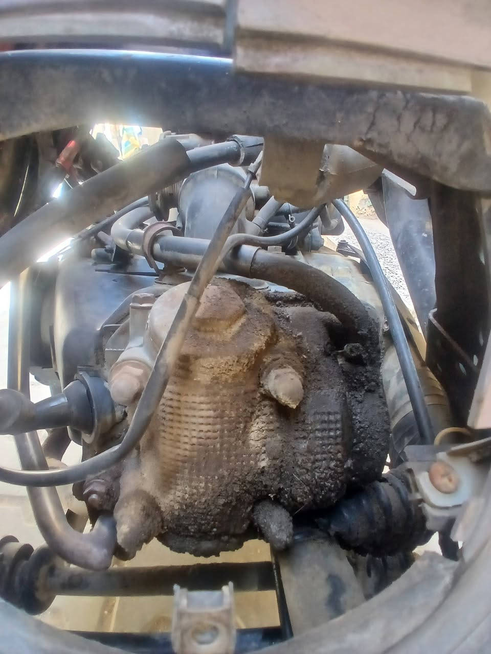 سلام عليكم
مكلف بالنشر 
دراجه بريز مال رنبه بس كفراتها تعبانه شويه سعرها( 650 )وبيها مجال مكان الولد كاظميه شارع التربيه 
الرقم ***********
