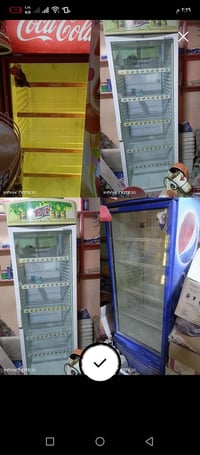 ٥ عارضات • حجم كبير • مجمّدة