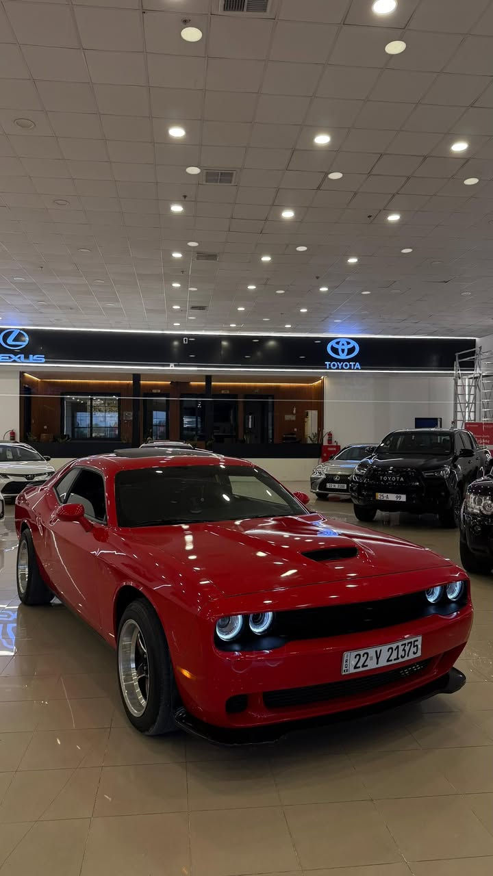 بدون ايرباك 🥅
موديل  2023
V6
السياره نضيفه كولش  
كولشي بيه  بشرط 
قطعتين صبغ فقط 
بونيت  وجاملغ السايق فقط   
سلايت  🫡
بلاك توب 
كشنات تدفئه 
مرايات هيتر 
لون احمر  المرغوب ♥️
 ماشي  31 mi 
رقم اربيل  كوله جديده 
+964 776 177 6776
سعر   218 ورقه  
مكان اربيل 
تحياتي 🫶♥️


**إذا كنت صاحب هذا الإعلان وتريد حذفه لأي سبب، رجاءا أرسل رسالة إلى الدعم الفني**