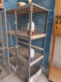 اقفاص حديد • طيور ودجاج • قضاء المدينه