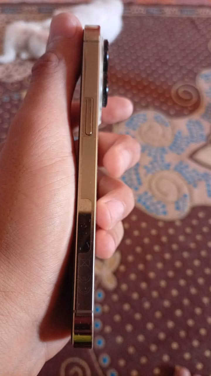 13برو 
معاه الكرتونه
وتر بروف 
بطاريه ٧٥ 
حالته ممتازه 
مفهوش خربوش 
١٢٨


**إذا كنت صاحب هذا الإعلان وتريد حذفه لأي سبب، رجاءا أرسل رسالة إلى الدعم الفني**