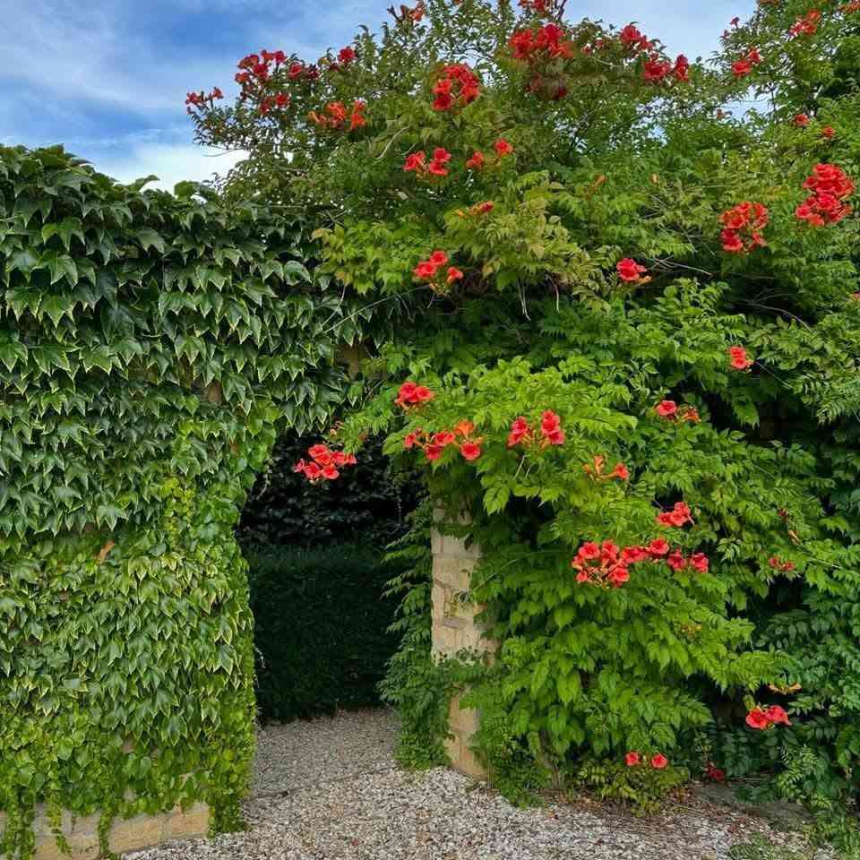 إ

🌿✨ متوفر الآن في المشتل: شتلات متسلق البوق الصيني ✨🌿

إذا كنت تبحث عن متسلق سريع النمو يمنح حديقتك منظراً رائعاً، فإن متسلق البوق الصيني هو الخيار المثالي.

🌸 يتميز بـ:
✅ أزهار بوقية كبيرة وجذابة بألوان زاهية.
✅ نمو قوي وسريع لتغطية الأسوار والبرجولات والجدران.
✅ يتحمل حرارة الصيف في العراق بعد استقرار الشتلة.
✅ يضفي لمسة جمالية مميزة طوال موسم الإزهار.

🌱 جميع الشتلات مزروعة بعناية وتحت إشراف هندسي، ومهيأة للنمو في الظروف المحلية.

📍 الكمية محدودة، والحجز حسب أسبقية الطلب.

📩 للاستفسار والحجز، راسلنا عبر الصفحة أو على الواتساب.

🌿 ازرع الجمال... واجعل حديقتك تنبض بالحياة.


**إذا كنت صاحب هذا الإعلان وتريد حذفه لأي سبب، رجاءا أرسل رسالة إلى الدعم الفني**