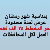 المهندسة • زينب علي