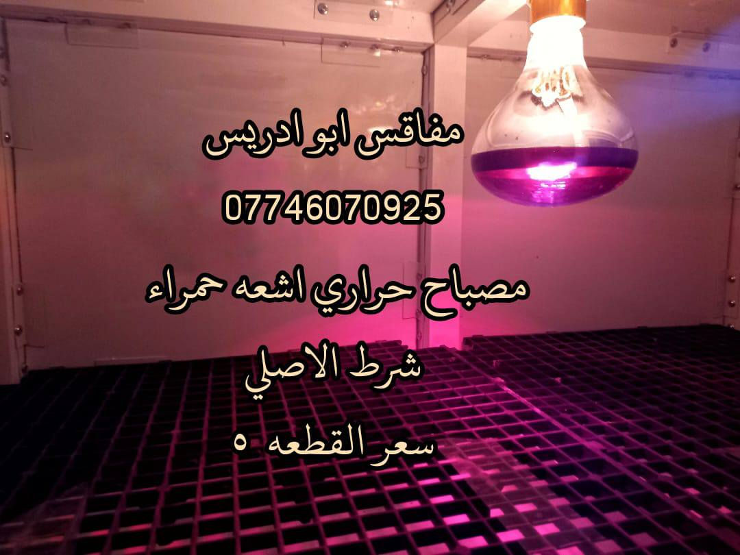 يالله متوفر مصابيح الحرارية تحت الاشعه الحمراء المعوضة لأشعة الشمس  السعر فقط خمسة آلاف
فوائد المصابيح🌞💛💡
 يعتبر من أفضل الوسائل للتدفئة لأن ينطي حرارة تشبه حرارة الشمس الطبيعية ويفيد بالحاضنات والاقفاص والمزارع  ويشتغل بكفاءة عالية يساعد على تنشيف الأرضية ويقلل الرطوبة ويقتل الجراثيم و متوفر توصيل لكل محافظات العراق  للحجز راسل واتساب ***********‬‏ اوراسل الصفحه   وتدللون
 #دواجن #مصابيح_شمسيه #مصباح_اشعه_حمراء #مزارع #محميات #حاضنات
