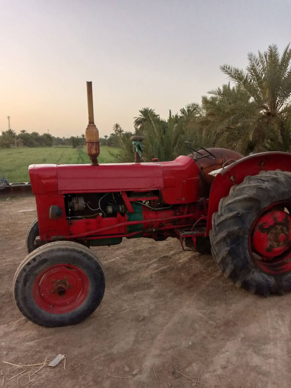 بولندا للبيع او مروس بعنتر مكانه نجف ناحيه القادسيه موبايل ***********
