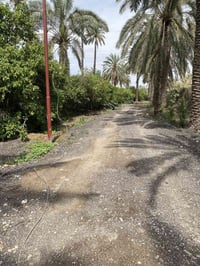 يالله السلام عليكم احبتي يتوفر دوانم حسب الطلب المدائن سده الجعاره قرب...