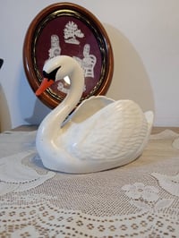 بجعة فخار • كبيرة • تجنن