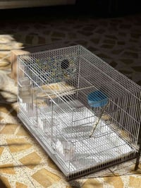 قفص جديد • استعمل سبوع • حي سماح