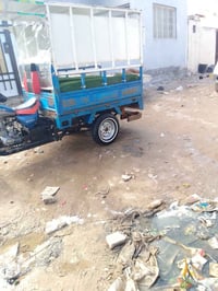 ستوته • مديل 11 • بأوراق