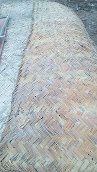 باريات • نضيفات • ١٢