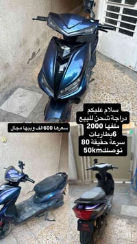 بغداد / الشعب 07723675386