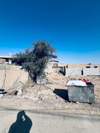 قطعه ارض البيع مساحه 125متر منطقه الكنغوالية بيها خدمات مي 3خطوط و كهر...