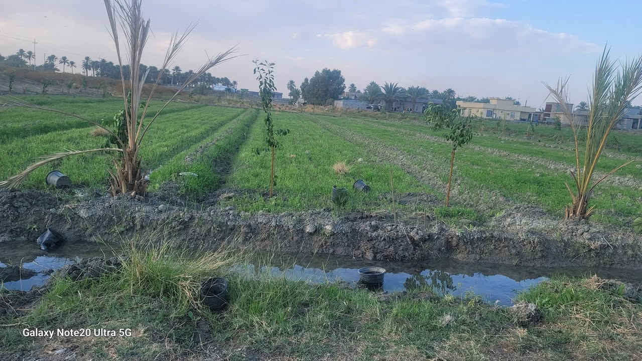 السلام عليكم اخواني الأعزاء
نص دونم 1250م واجه 25والنزال 50م

خدمات الأرض ماء سقي كهرباء أسألة مدارس ابتدائية ثانوية يبعد عن السوك 500متر بصف الشارع التبليط 

كلش حلو ومرتب لصحاب الاستثمار 
يصلح سكني بناء مزرعة أو سكن دامي 

فرصة ذهبية 

موقع الارض التاجي ذراع دجلة ناحية الخيرات 

للإستفسار ***********📞
***********📞
***********📞
#الجميع #عقارات_بغداد #مزارع #العراق #دوانم_طابو_زراعي_سند٢٥ #التاجي ذراع دجلة ناحيه الخيرات
