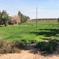 أرض للبيع • بيتين • العزيزيه واسط