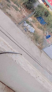 بيت خمسين متر زراعي سند ٢٥ موقوع بيت فرع كوفي سلطان يباع مع الأثاث او ...