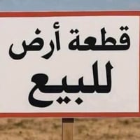 طابو زراعي • ١٠٠م • الراشديه