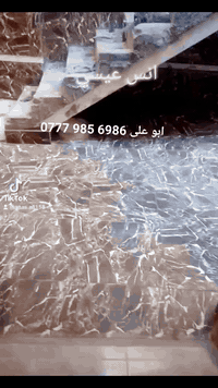 موجود بكربلاء
