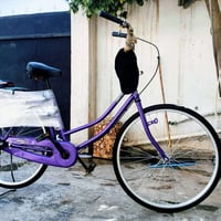 سنتوس • ٢٠٢٤ • شرط