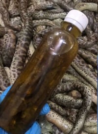 زيت الحيه • تطويل شعر • وقف تساقط