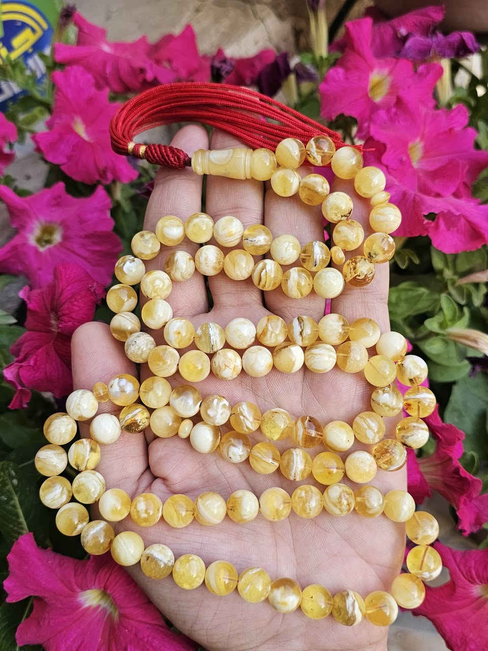 كهرب كلنگرادي حر طبيعي فرز ( كهرب أهل الدار)  ألكويت مشروط مكفول👑 گيمر بعسل مطوگ ملط
كهرب كلنگرادي حر طبيعي فرز ( كهرب أهل الدار)  ألكويت مشروط مكفول👑 گيمر بعسل مطوگ ملطخ 👑🥛
ألوزن ٦٨ غرام ٩٩خرزة بحجم ١٠،٥ ملم خشنة طويلة كشخة وتحفة ملطخة مطوگة محمول راقي وكركوشة كويتي👑 
ألسعر  جملة الجملة تصفية و عرض شهر رمضان الكريم ألسعر  ٣٧٥ ألف دينار قفل تسوة ضعف هالسعر 🥛🍯🌙

توصيل مجاني لكل العراق🥛🍯***********
