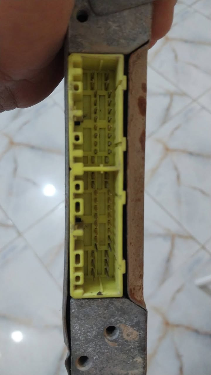 عقل ساسوكي للبيع ***********
