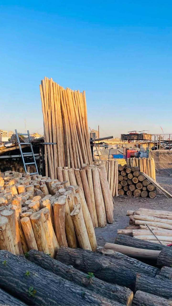 #قصب#خيزران مستورد كوخ. الخشب القوق حصران باريات گصب ***********#

