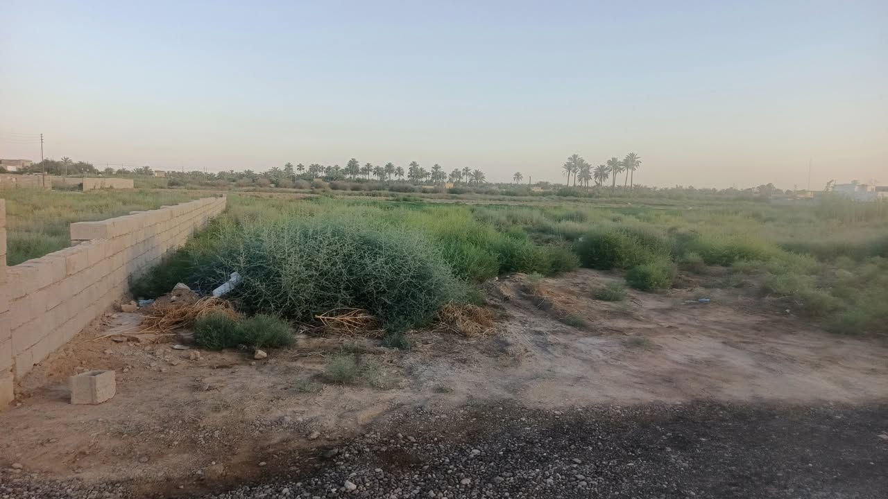 يا الله سلام عليكم الف متر البيع طابو سند ٢٥ اقرار محكمه
الوجهة ٢٥ الباقي نزال
 خدمات كامله ماء كهرباء 
العنوان المدائن منطقة جعاره 
تبعد عن الشارع العام مسافه 
الاستفسار اتصال برقم ***********
