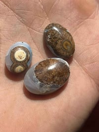 عين الديب • نوادر • فضة