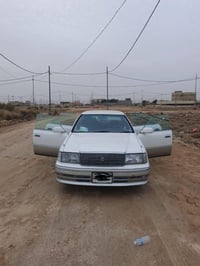 راس الثور • ٩٥ • نجف