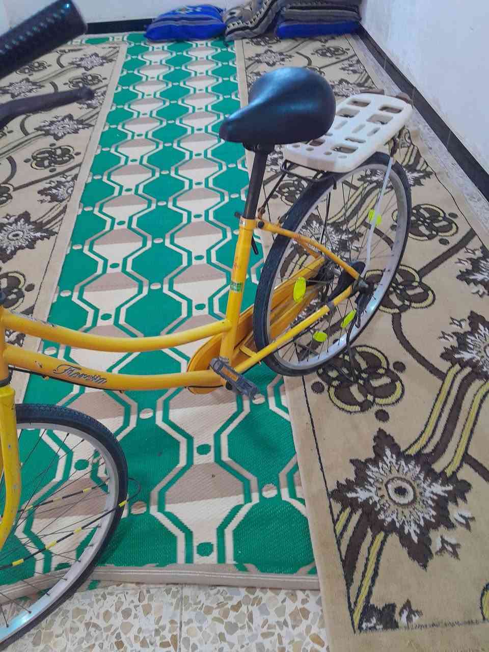 بسكل بيع  لحجم 26 سعر 55 وبي مجل شري جي خاص


**إذا كنت صاحب هذا الإعلان وتريد حذفه لأي سبب، رجاءا أرسل رسالة إلى الدعم الفني**