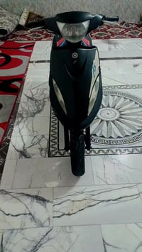 ماكس عدله • بوشه ٤٩ • كفاله عامه