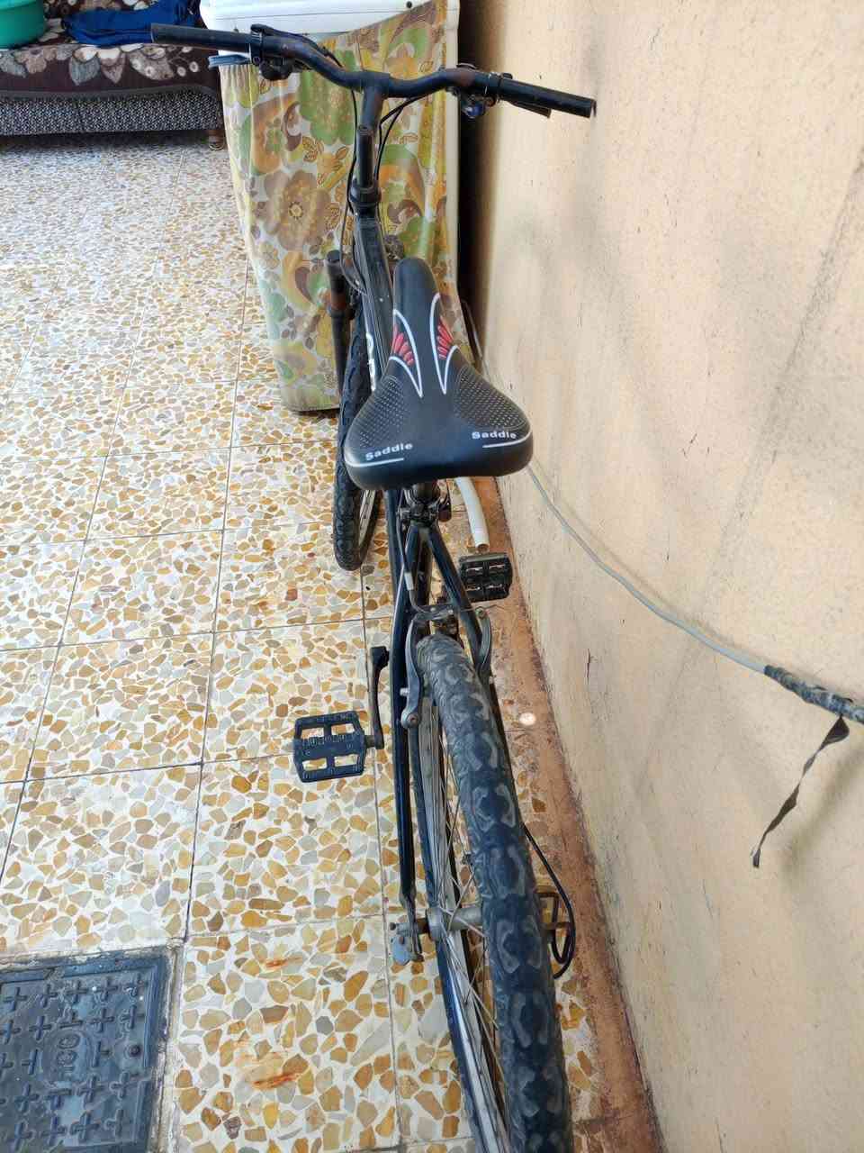 حي فلسطين السعر 75 بي مجال الرقم هاتف770 359 9748


**إذا كنت صاحب هذا الإعلان وتريد حذفه لأي سبب، رجاءا أرسل رسالة إلى الدعم الفني**