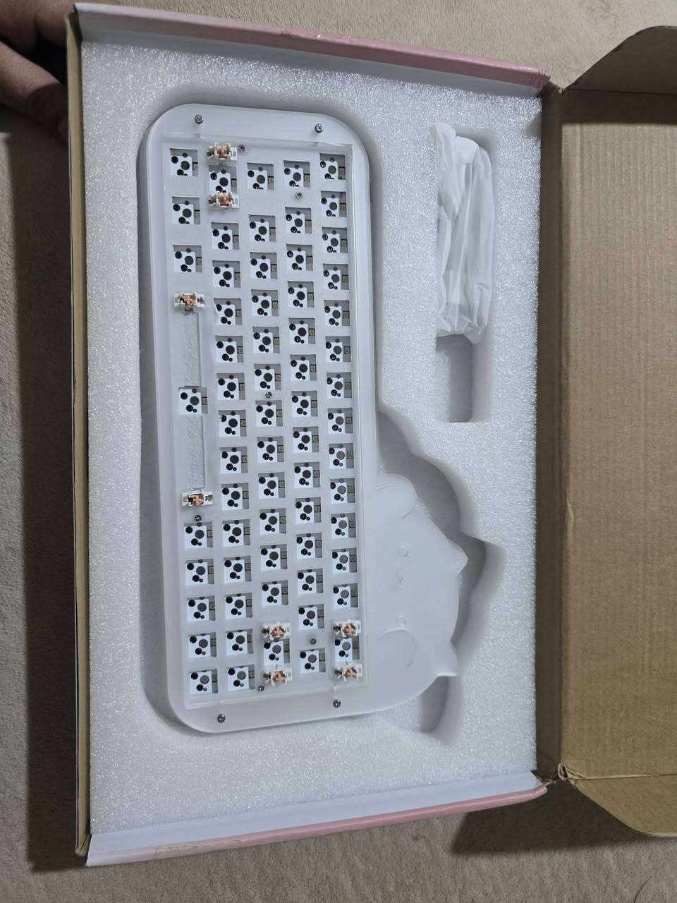 ٢٠ الف مع توصيل جديد لوك


**إذا كنت صاحب هذا الإعلان وتريد حذفه لأي سبب، رجاءا أرسل رسالة إلى الدعم الفني**