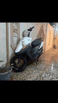 سلام عليكم ماكس عدلة للبيع دراجة سلف وهندر شغالة خير  الله اشاير بكلايت بي كتف مال اشاير حساس شفال كهربايات شغالة بوشة 55مفتوحة بيهة تزويد خفيفصالنصة اف ام يدات بريد يدات بانزين دراجة مرتبة وحلوة وسوات مال هندر موجود مكاني بغداد السيدية وسعرهة 550وبيهة مجال بصيط هاذ رقمي ***********
