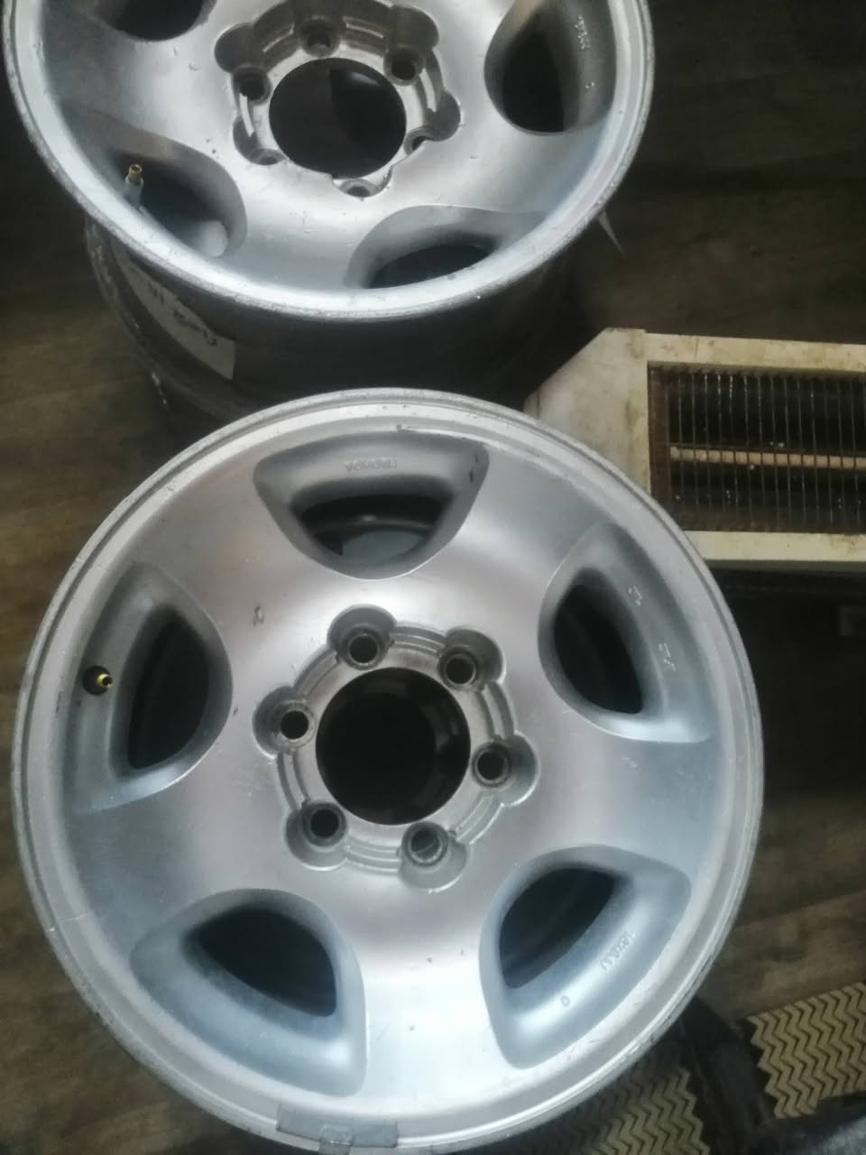 تخم ويل حجم ١٦ للبيع سعر ٢٠٠ مكاني ميسان ***********
