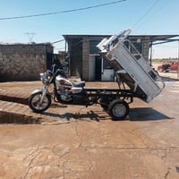ستوته • شاخوان • موديل ٢١