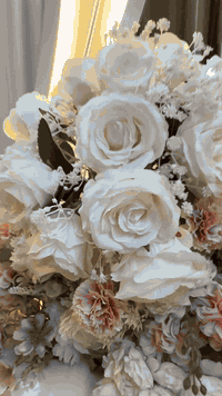 عروض ألسنه الـ جديده كل هل جمال بسعر ٦٠ ألف فقط
عنوانا الحي العصري شارع الري مجاور معهد المجد.
 .كوشات لارسا للحجز او الاستفسار مراسله الصفحه.👰‍♀️
أو الاتصال برقم***********
