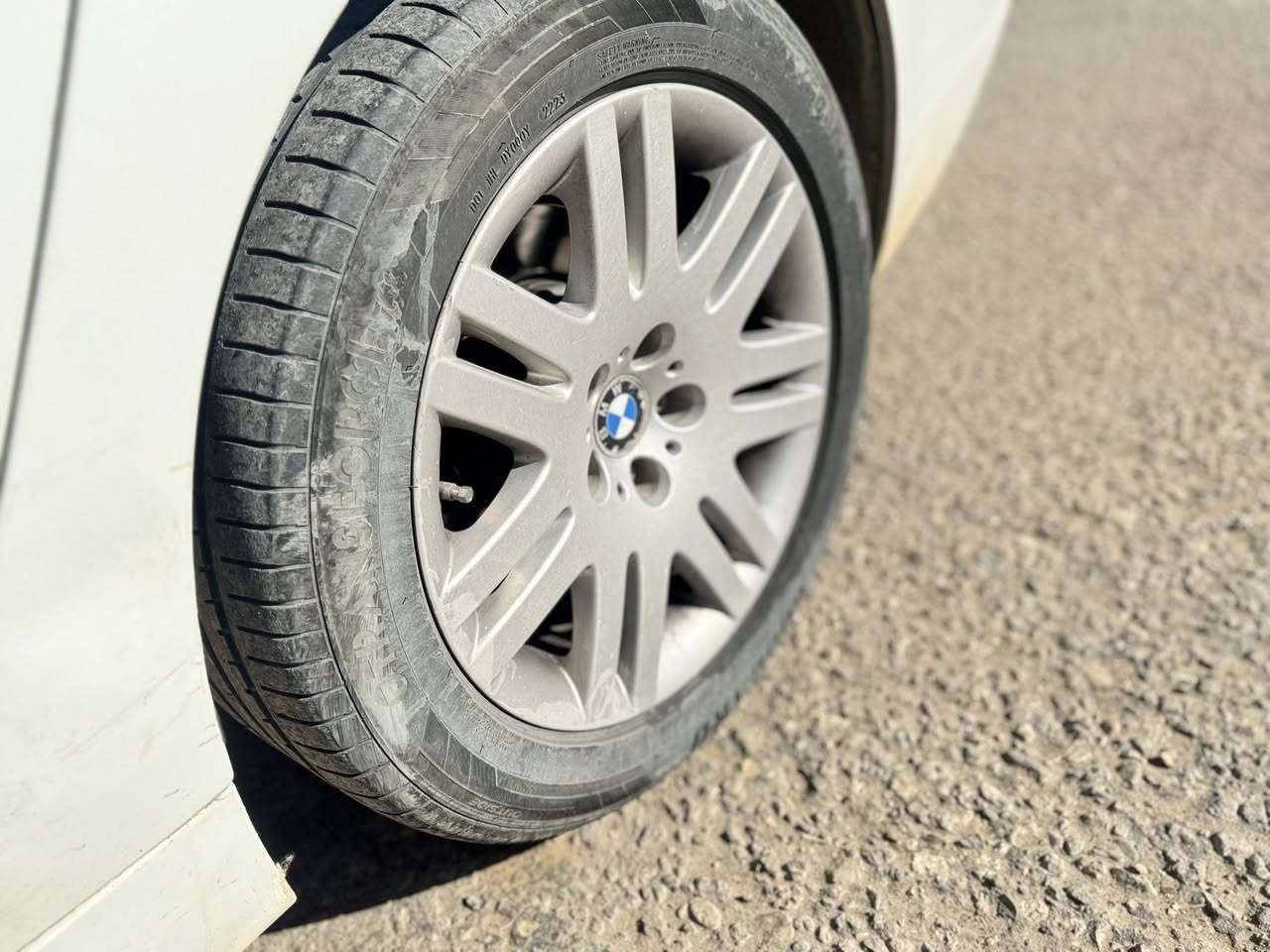 عندي تخم ويل 18 اريد مراوس بتخم ويل 19 شعاع
مكاني نجف 
للتواصل واتساب او خاص ***********
