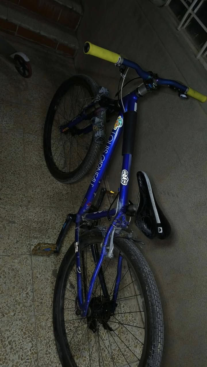 سلام عليكم عندي هذا اللويس                          ابريكات شيمانًو فحمات
استيرن 90 وركبه سبع ألوان 

وكلشي واضحه بل صوره 

العنوان :موصل حي الدندان 

الرقم ***********
 قبر خلفي 8 وأمامي 3
