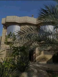 أبو الخصيب • طابو زراعي • ٥٠٠م