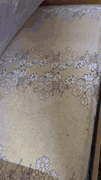 دوشك عالي • نفر ونص • الحبيبيه بغداد